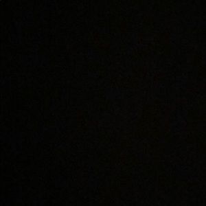 Meet your Posher, Ella